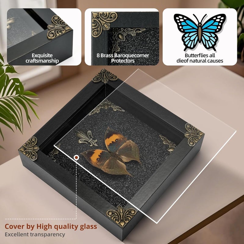 GDBEH Real Butterfly Framed Handmade - Taxidermy Butterfly Shadow Box - Real Framed Butterflies in a Box for Gothic Home Decor Aesthetic. (Kallima Inachus) - Image 3